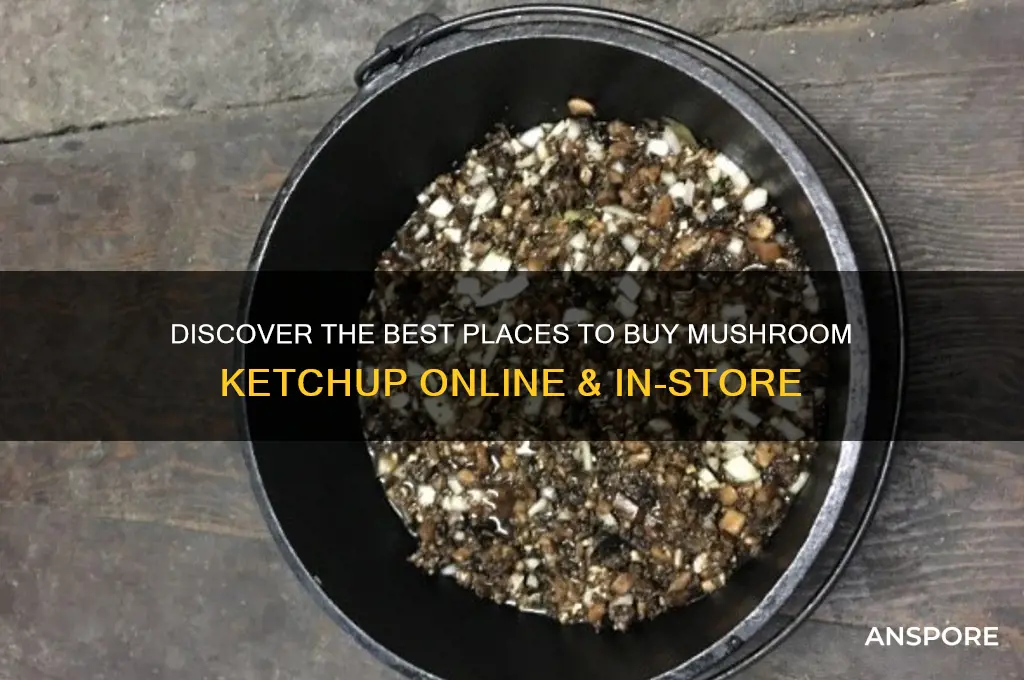 where can i buy mushroom ketchup