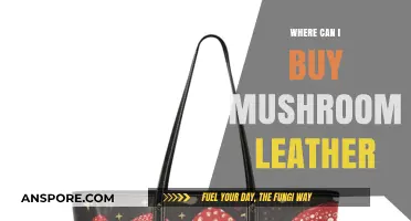 Discover Sustainable Fashion: Where to Buy Mushroom Leather Products