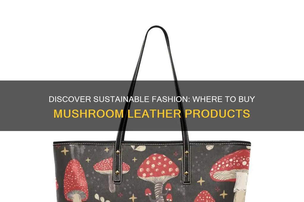 where can i buy mushroom leather