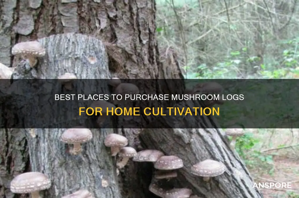 where can i buy mushroom logs