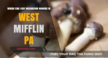 Where to Buy Mushroom Manure in West Mifflin, PA: Top Sources