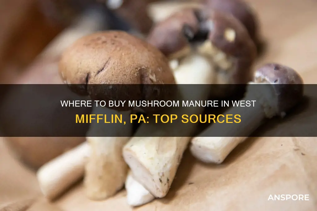 where can i buy mushroom manure in west mifflin pa