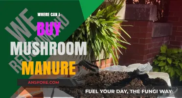 Best Places to Buy Mushroom Manure for Your Garden