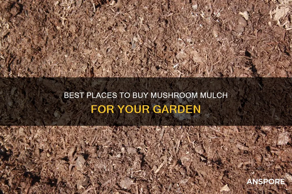 where can i buy mushroom mulch