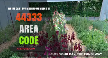 Find Mushroom Mulch Near You: 44333 Area Code Suppliers