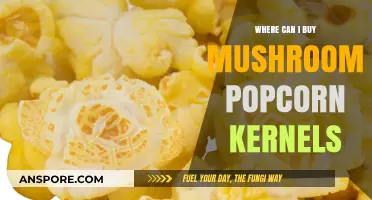 Discover the Best Places to Buy Mushroom Popcorn Kernels Online