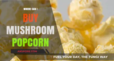 Discover the Best Places to Buy Mushroom Popcorn Online & Locally