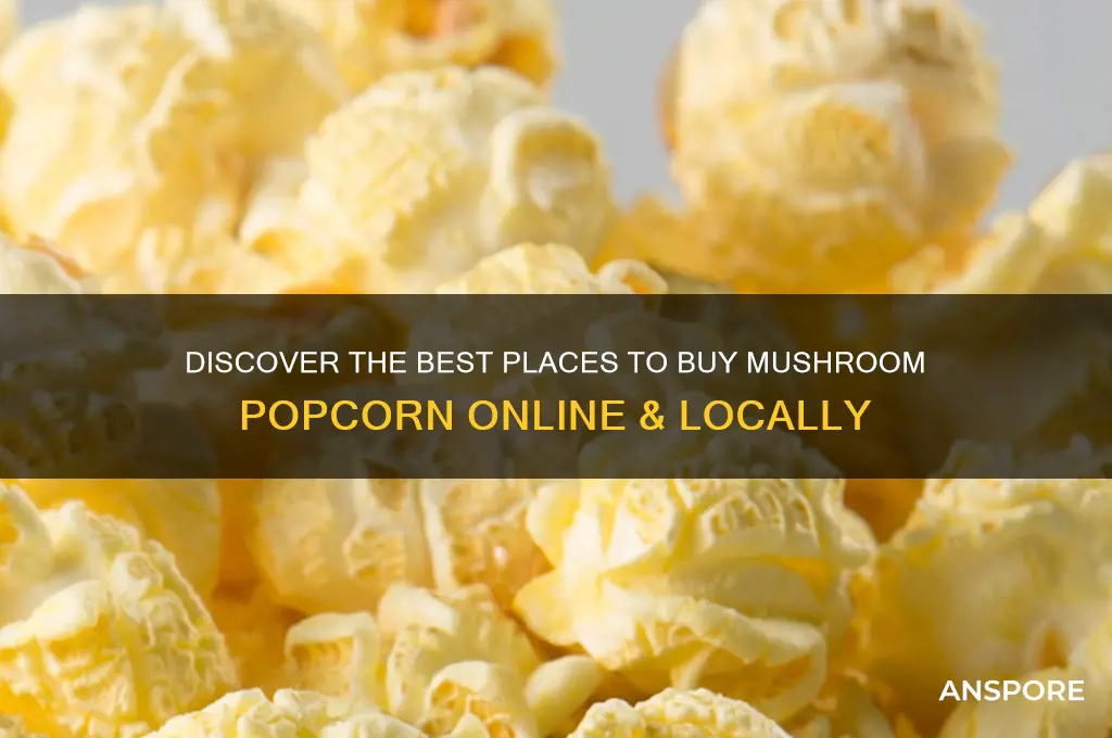 where can i buy mushroom popcorn