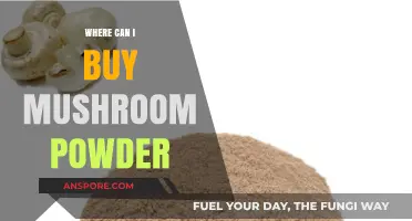 Discover Top Retailers to Buy Mushroom Powder Online & In-Store