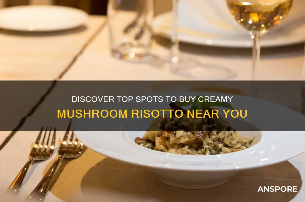 where can i buy mushroom risotto