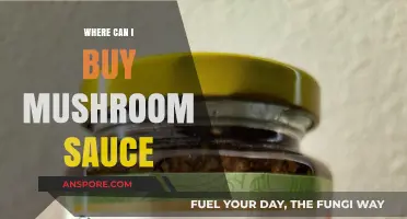 Discover the Best Places to Buy Mushroom Sauce Online & In-Store