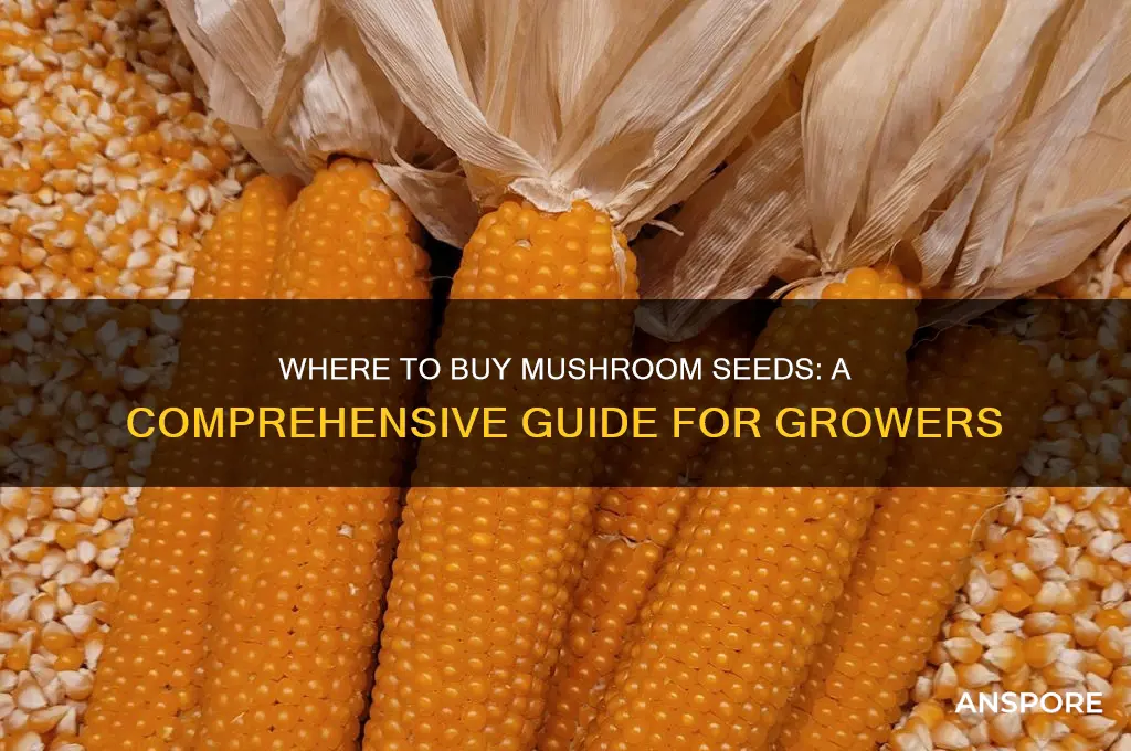 where can i buy mushroom seeds