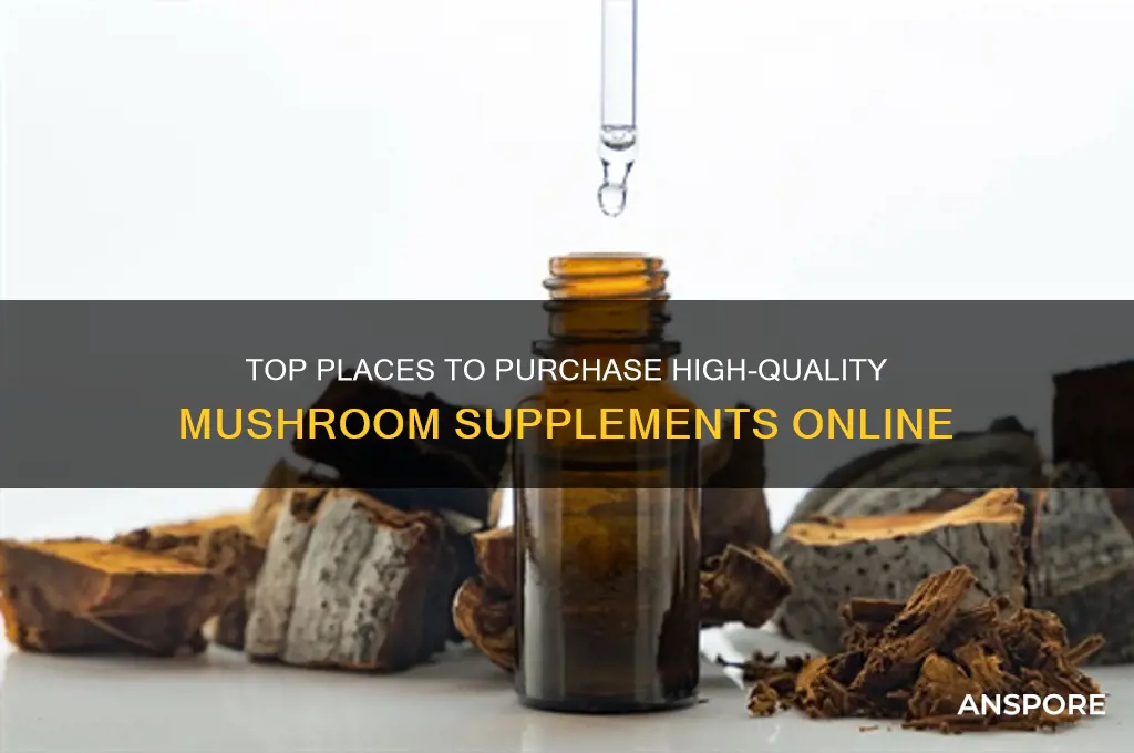 where can i buy mushroom supplements
