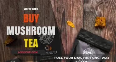 Discover Top Retailers to Buy Mushroom Tea Online & Locally