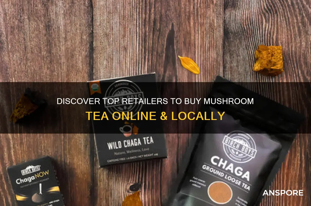 where can i buy mushroom tea