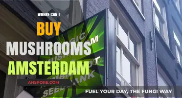 Best Spots to Buy Mushrooms in Amsterdam: A Comprehensive Guide