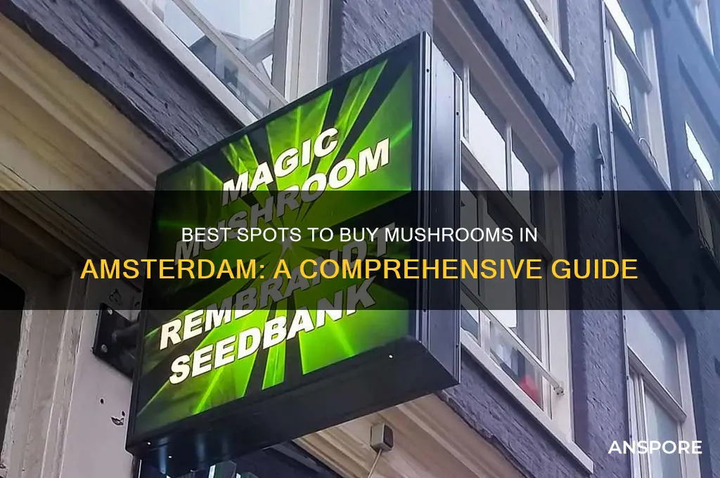 where can i buy mushrooms amsterdam