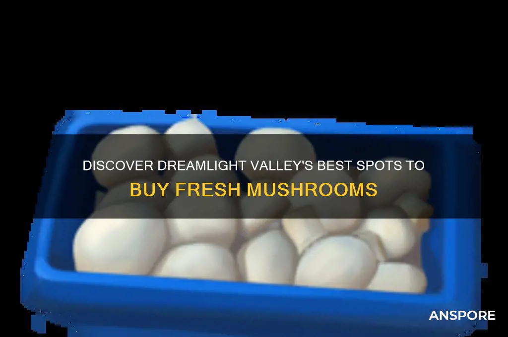 where can i buy mushrooms dreamlight valley