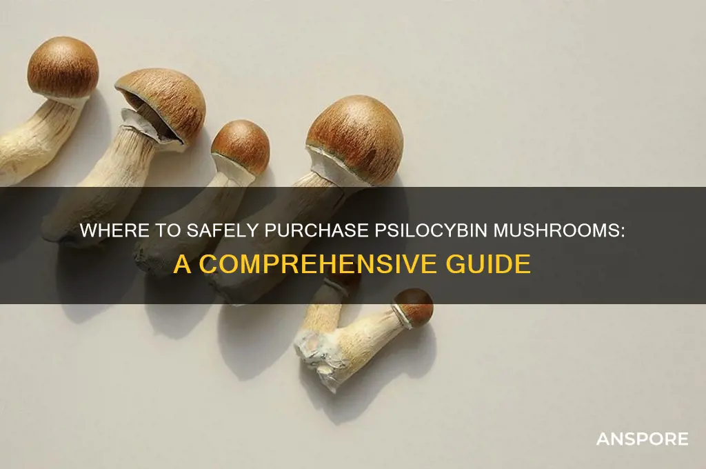where can i buy mushrooms drug