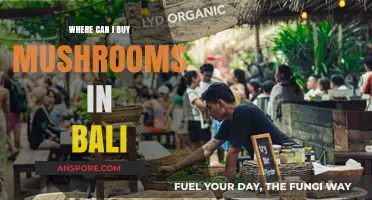 Discover Bali's Best Spots to Buy Fresh and Exotic Mushrooms