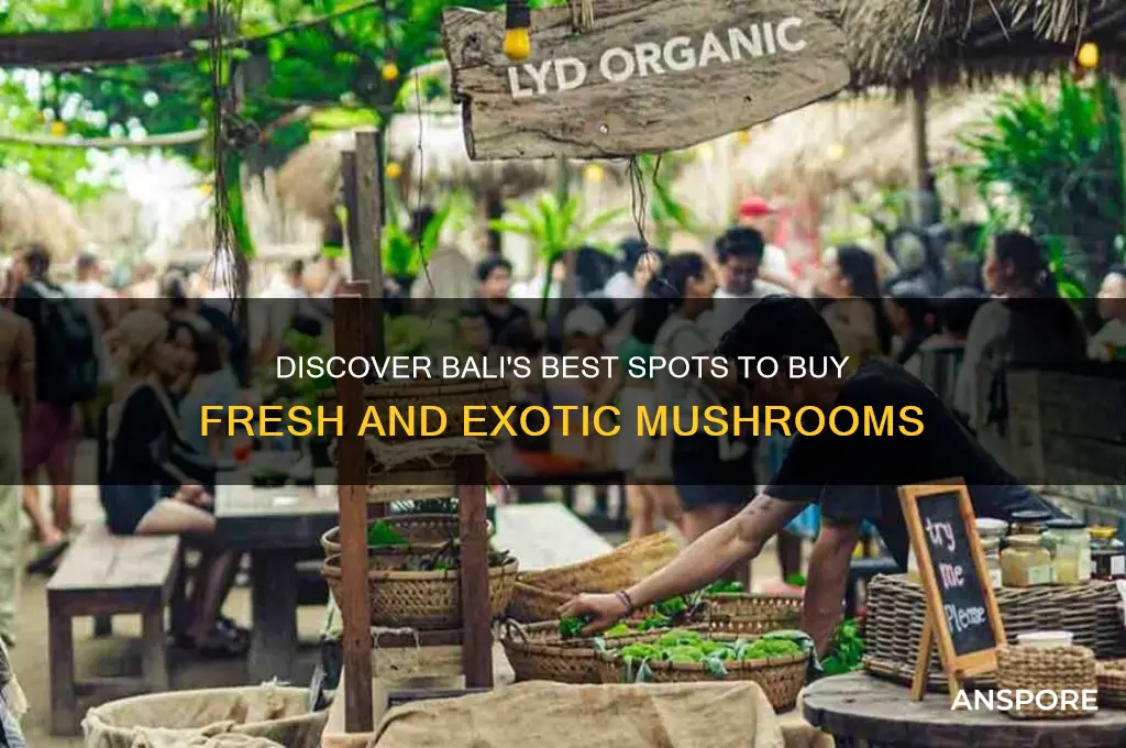 where can i buy mushrooms in bali