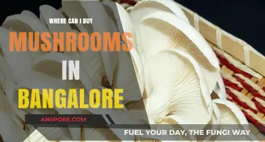 Best Places to Buy Fresh Mushrooms in Bangalore: A Guide