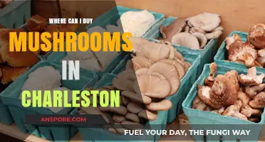 Discover Top Spots to Buy Fresh Mushrooms in Charleston, SC