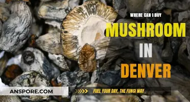 Denver's Best Spots to Buy Fresh and Exotic Mushrooms