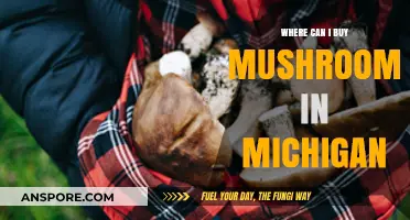 Discover Michigan's Best Spots to Buy Fresh Mushrooms Locally