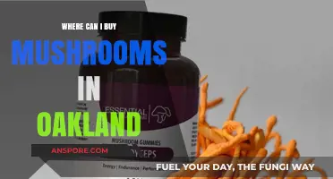 Discover Oakland's Best Spots to Buy Fresh Mushrooms Locally