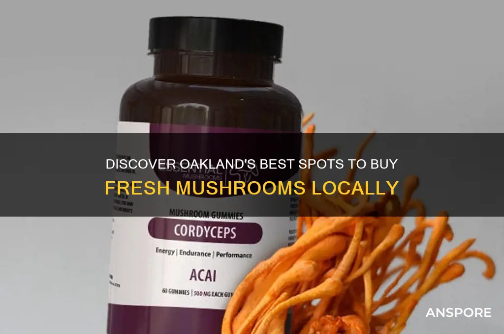 where can i buy mushrooms in oakland