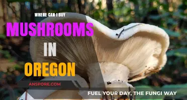 Discover Oregon's Best Spots to Buy Fresh Mushrooms Locally