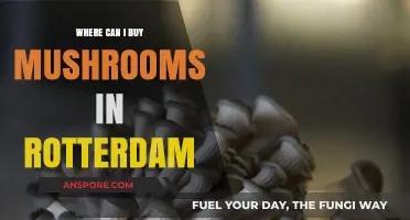 Discover Top Spots to Buy Fresh Mushrooms in Rotterdam