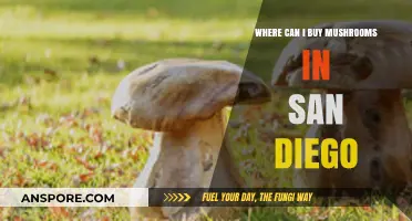 Discover San Diego's Best Spots to Buy Fresh Mushrooms