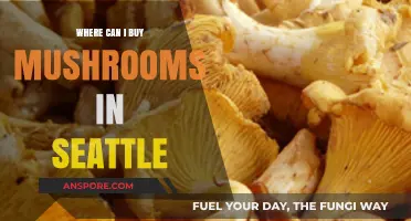Discover Seattle's Best Spots to Buy Fresh Mushrooms Locally