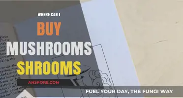 Where to Buy Shrooms: A Guide to Finding Quality Mushrooms