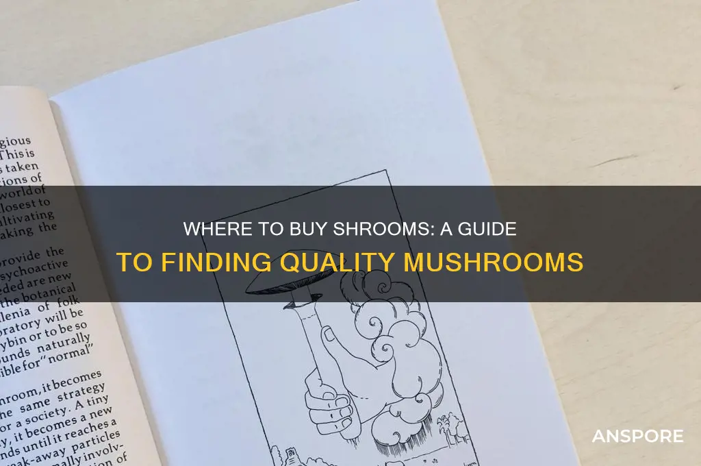 where can i buy mushrooms shrooms