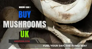 Discover Top UK Spots to Buy Fresh Mushrooms Easily