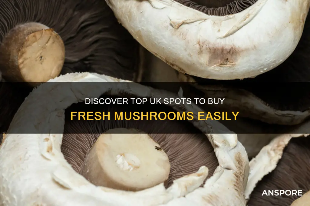 where can i buy mushrooms uk