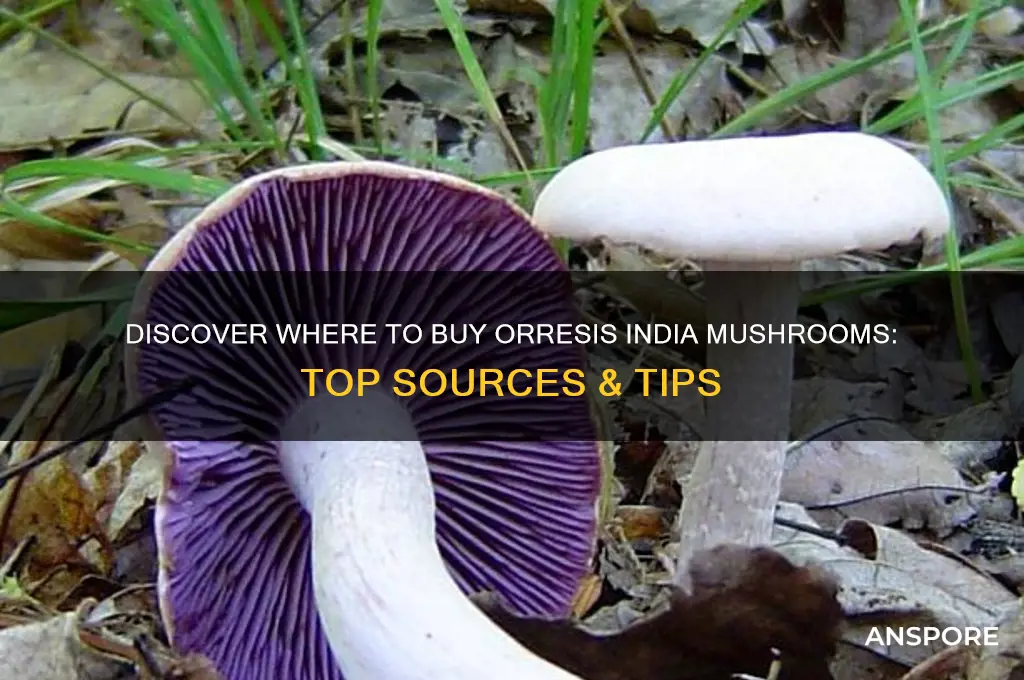 where can i buy orresis india mushrooms