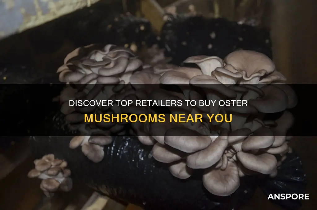 where can i buy oster mushrooms
