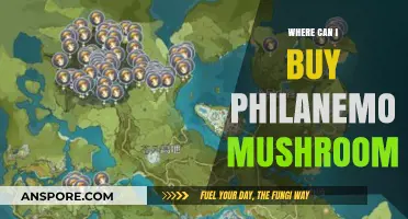 Discover the Best Places to Buy Philanemo Mushrooms Online