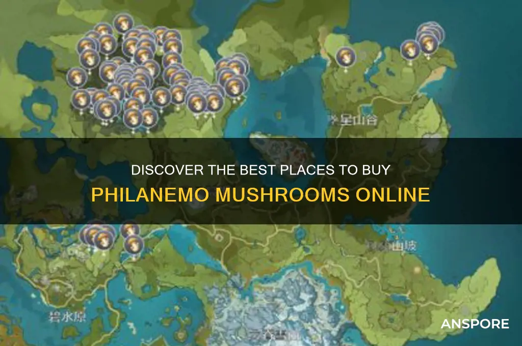 where can i buy philanemo mushroom
