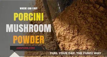 Discover Top Retailers to Buy Porcini Mushroom Powder Online & In-Store