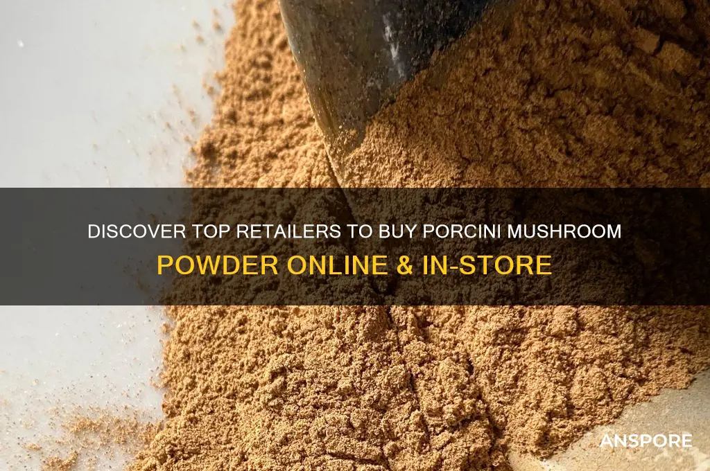 where can i buy porcini mushroom powder