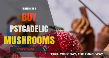 Where to Buy Psychedelic Mushrooms: A Comprehensive Guide