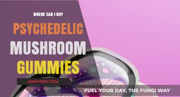 Where to Buy Psychedelic Mushroom Gummies: A Comprehensive Guide