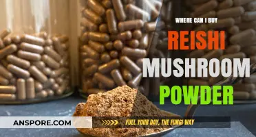 Discover the Best Places to Buy Reishi Mushroom Powder Online