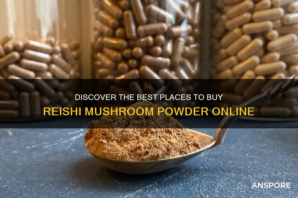 where can i buy reishi mushroom powder