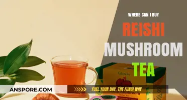 Discover the Best Places to Buy Reishi Mushroom Tea Online